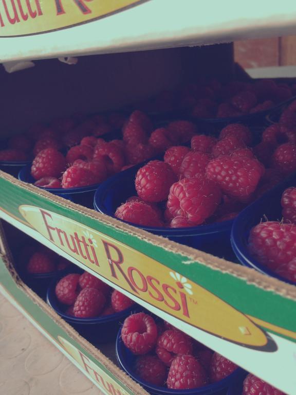 Agriturismo Fruttirossi 트로페엘로 외부 사진